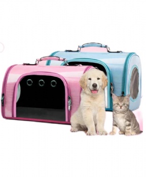 Transparent Pet Carrier