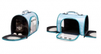 Transparent Pet Carrier