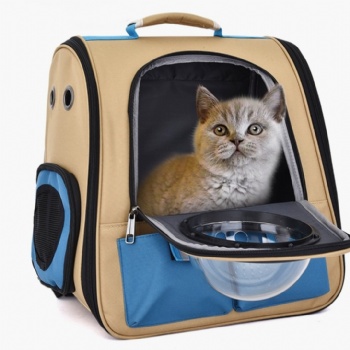 Airline Approved Pet Canvas Bubble Backpack