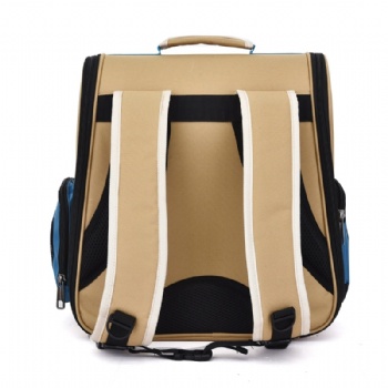 Airline Approved Pet Canvas Bubble Backpack