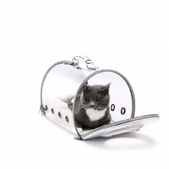 Transparent Capsule Pet Handbag